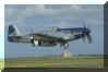 P-51D Mustang - full size